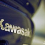 _MG_3091 copy